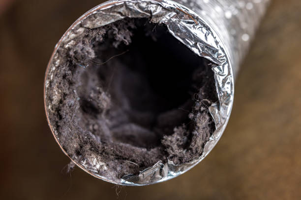 Best Residential Air Duct Cleaning  in Ash Grove, MO